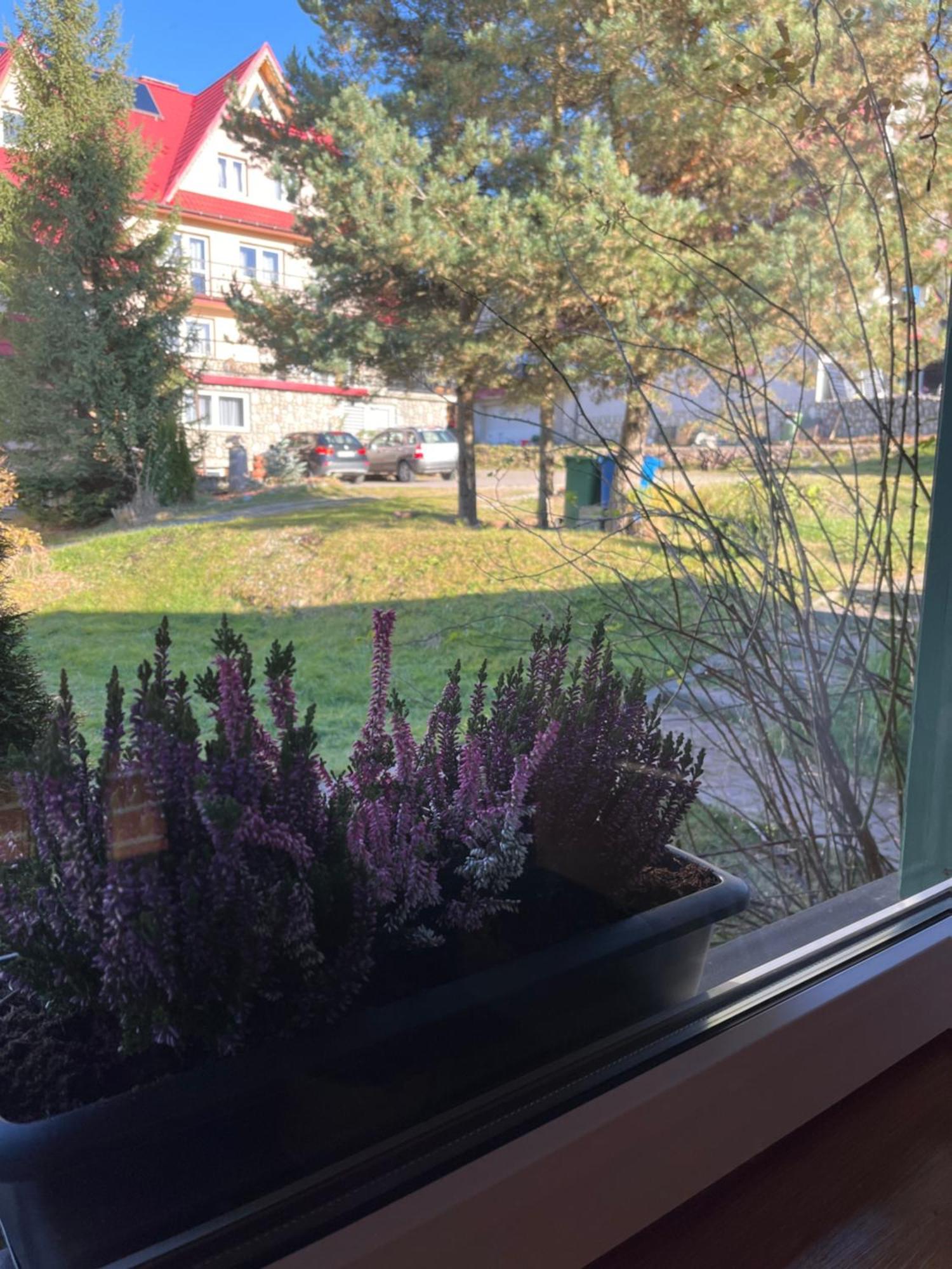 Pod Kogutkiem Na Dolinie Bukowina Tatrzanska